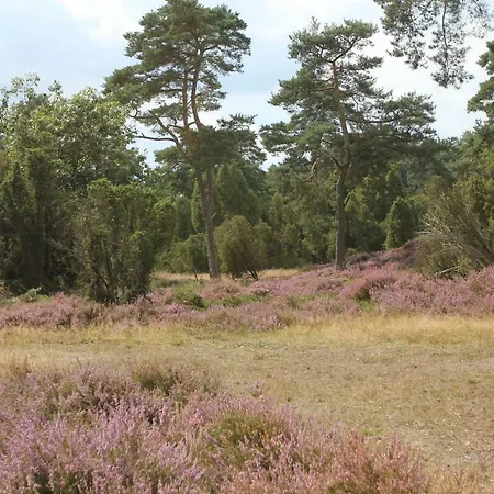 Vakantiehuis NamaStee Schoonloo Buitenkant foto