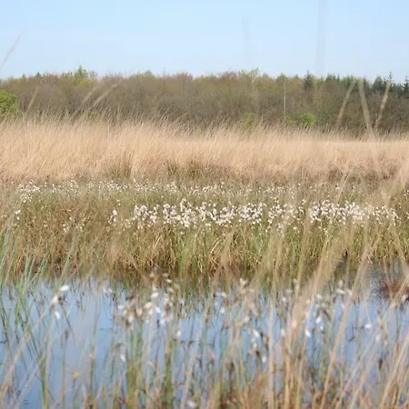 Vakantiehuis NamaStee Schoonloo Buitenkant foto