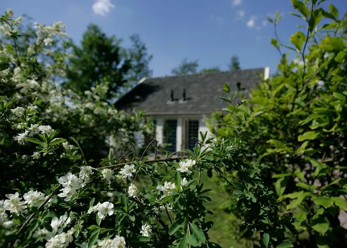 Vakantiehuis Namastee